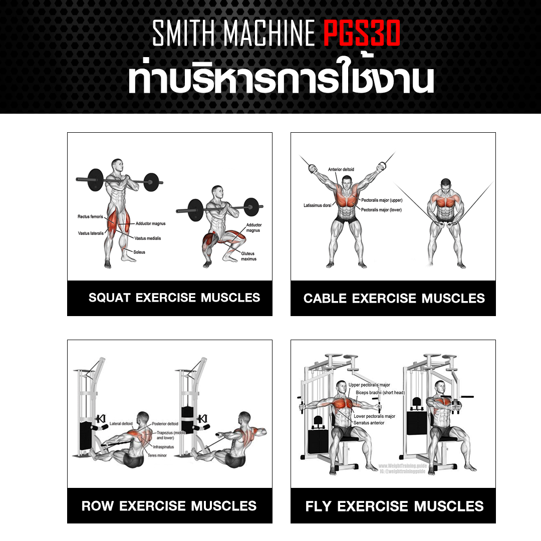 อุปกรณ์ฝึกกล้ามเนื้อ SMITH MACHINE PGS30