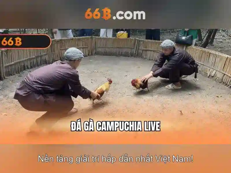 An Toàn & Công Bằng